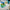 LEGO® Editions Vini Jr. – Football Highlights
