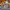 LEGO® Harry Potter™ Hogwarts™ Herbology Plants