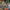 LEGO® NINJAGO® Battle at the Dragon’s Blade