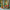 LEGO® Harry Potter™ Hogwarts™ Herbology Plants