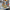 LEGO® NINJAGO® Battle at the Dragon’s Blade