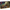 LEGO® Harry Potter™ Hogwarts™ Herbology Plants