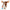LEGO® Ideas Gremlins™ Gizmo