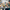 LEGO® NINJAGO® Battle at the Dragon’s Blade