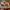 LEGO® Harry Potter™ Knockturn Alley™ Wizarding Shops