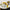 LEGO® Botanicals Sunflower Bouquet