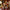 LEGO® Ideas Home Alone