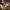 LEGO® Ideas Home Alone
