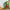 LEGO® Ideas │ Disney Winnie the Pooh